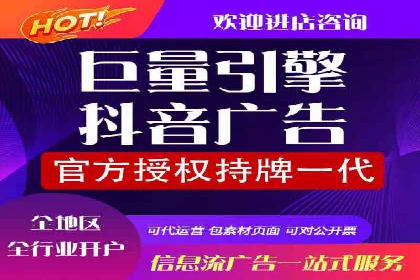 SEM竞价入门指南，经典案例分享